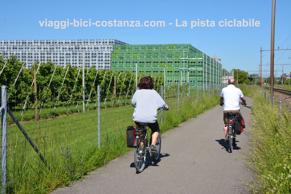 La pista ciclabile - Lago di Costanza - Egnach
